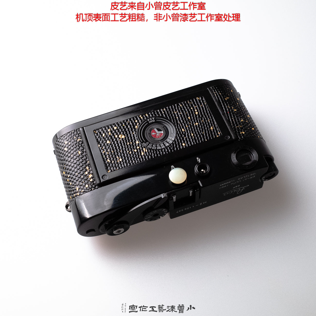 Gold-Flecked Black Lizard Skin(M2)