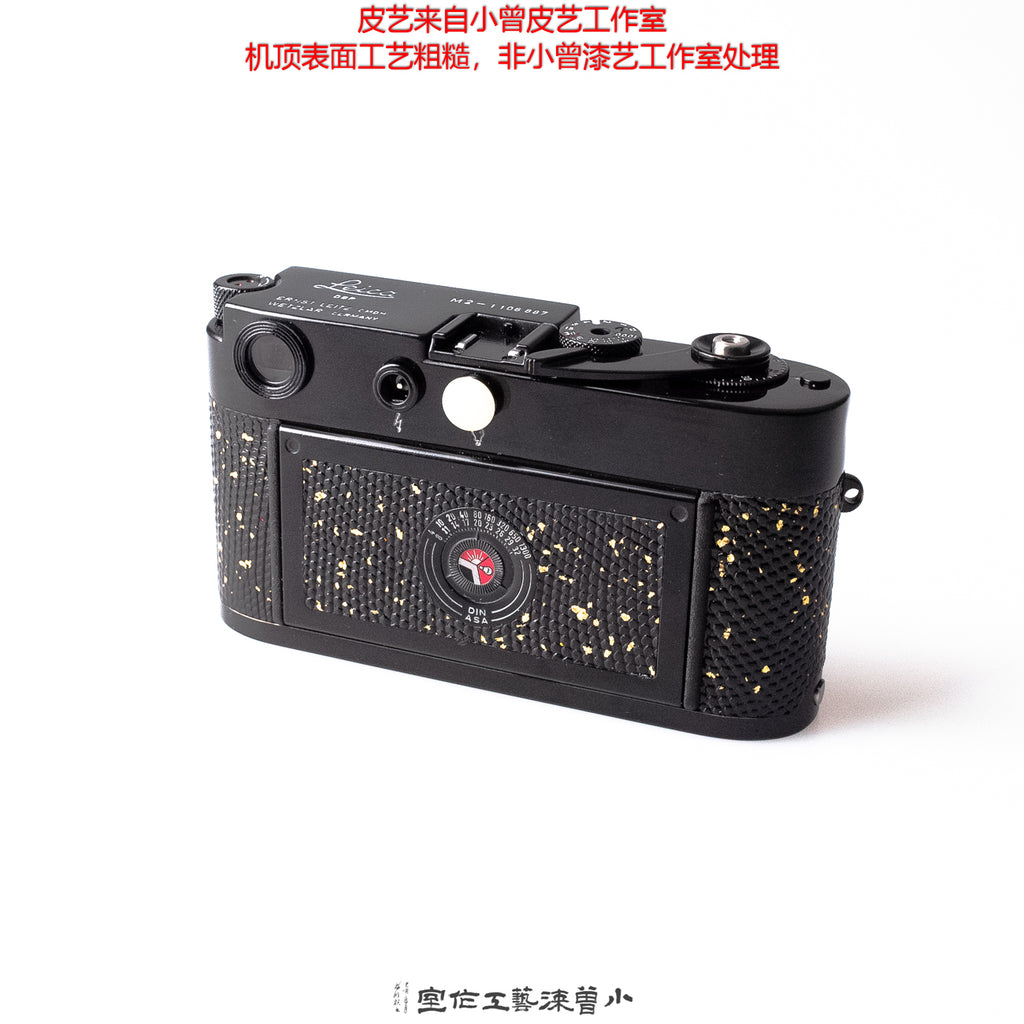 金斑黑蜥蜴皮（M2）