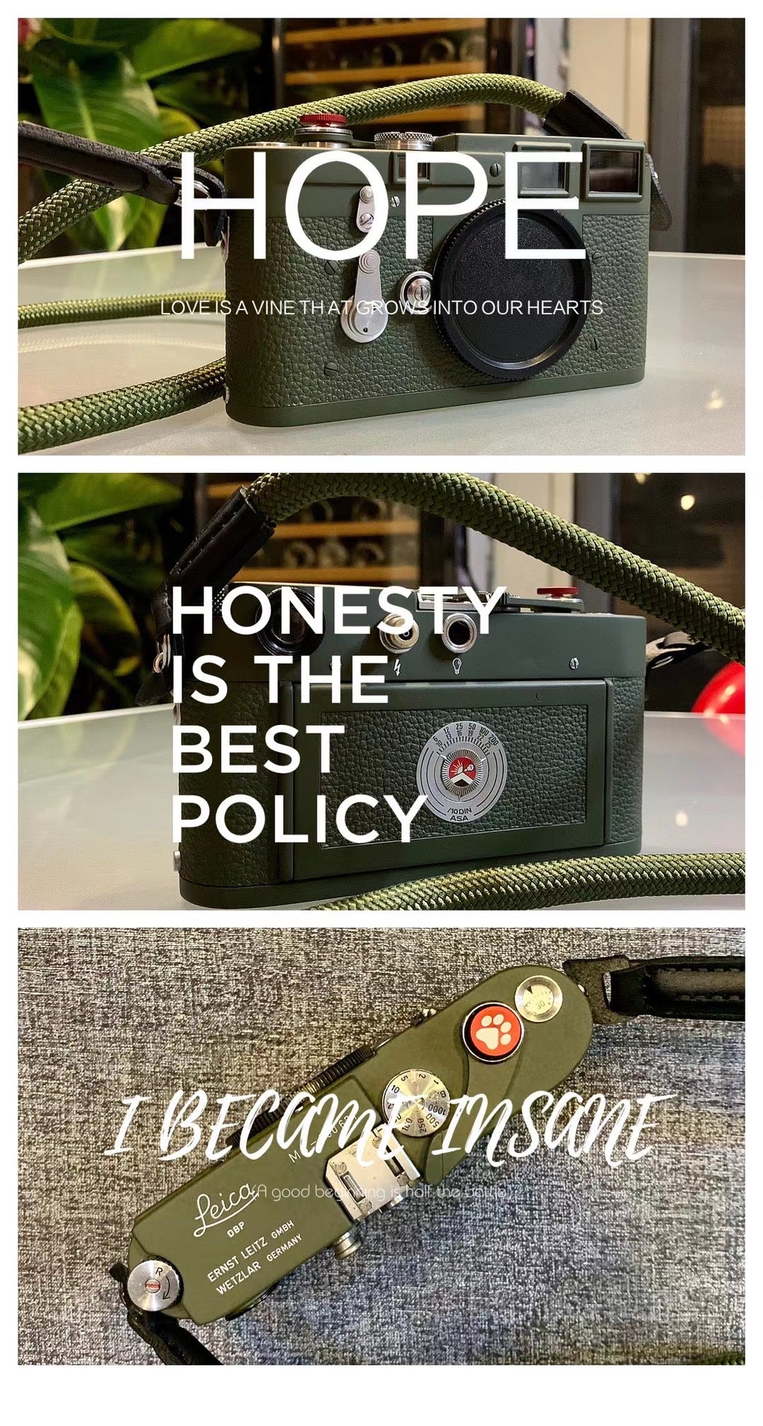 M3 Safari Repaint
