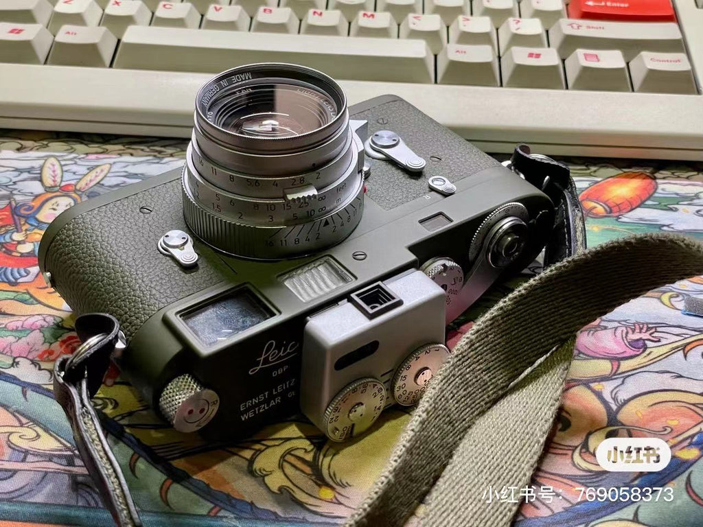 M Safari Repaint