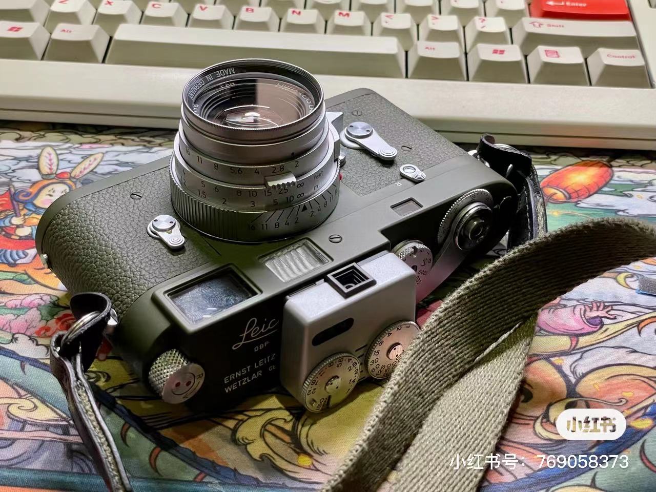 M Safari Repaint