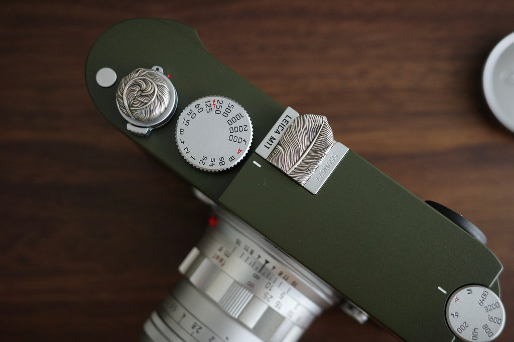 M11 Safari Repaint