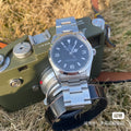 Safari Repaint