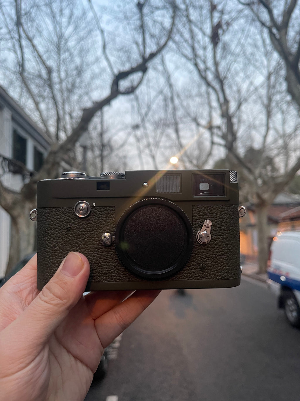 Safari Repaint