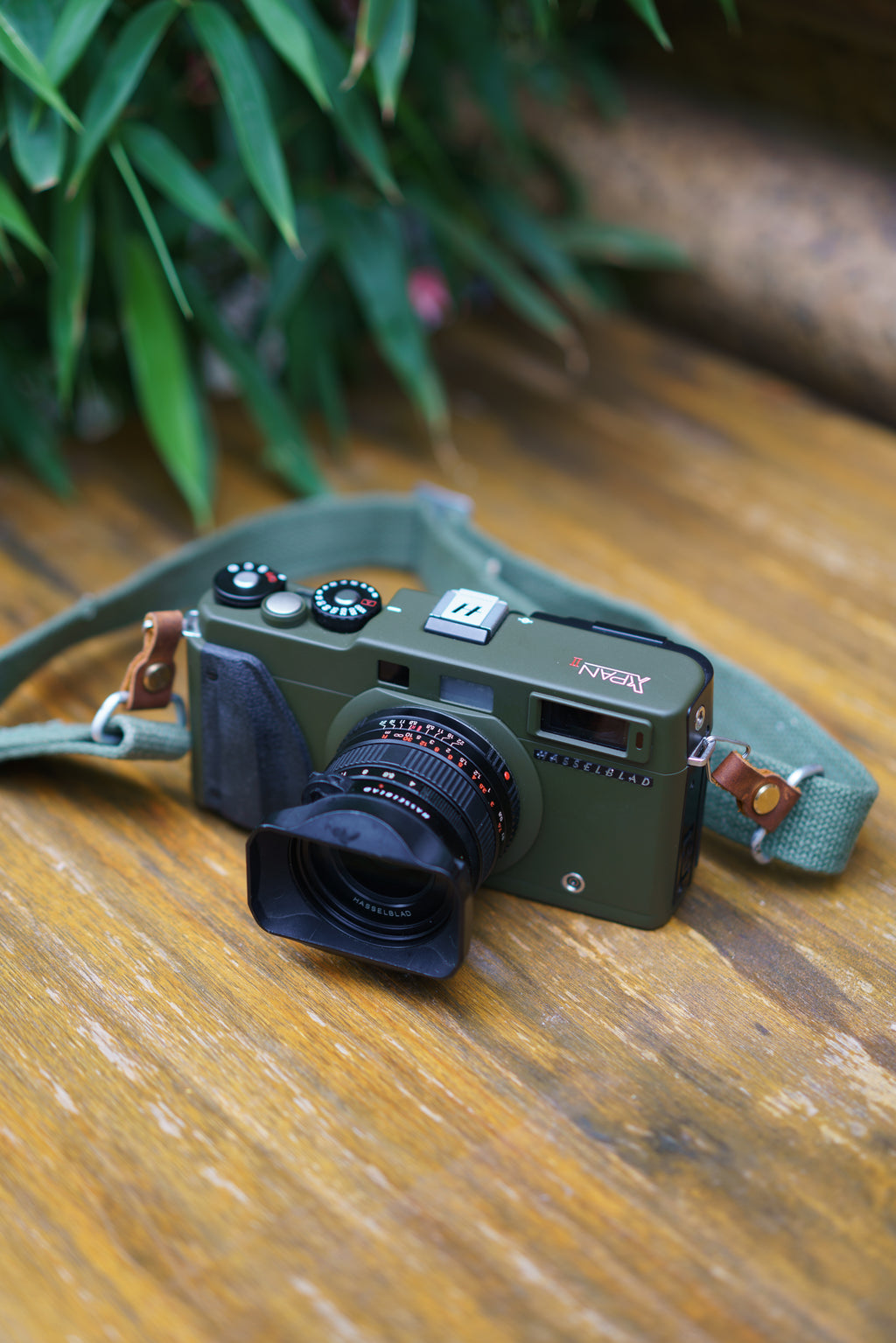 Xpan Safari Repaint