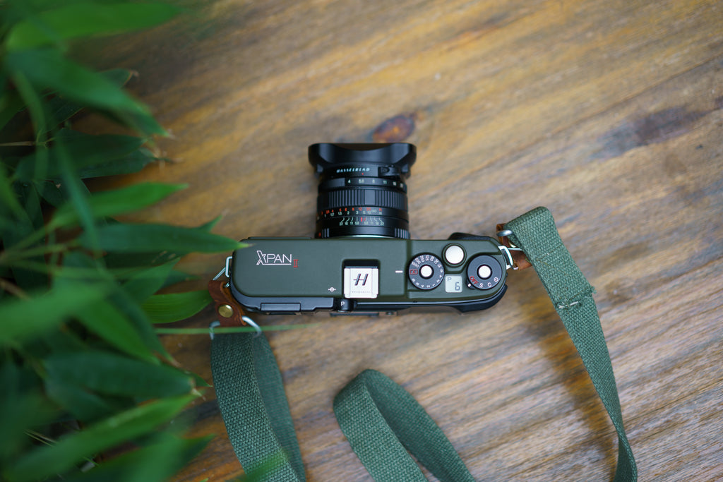 Xpan Safari Repaint