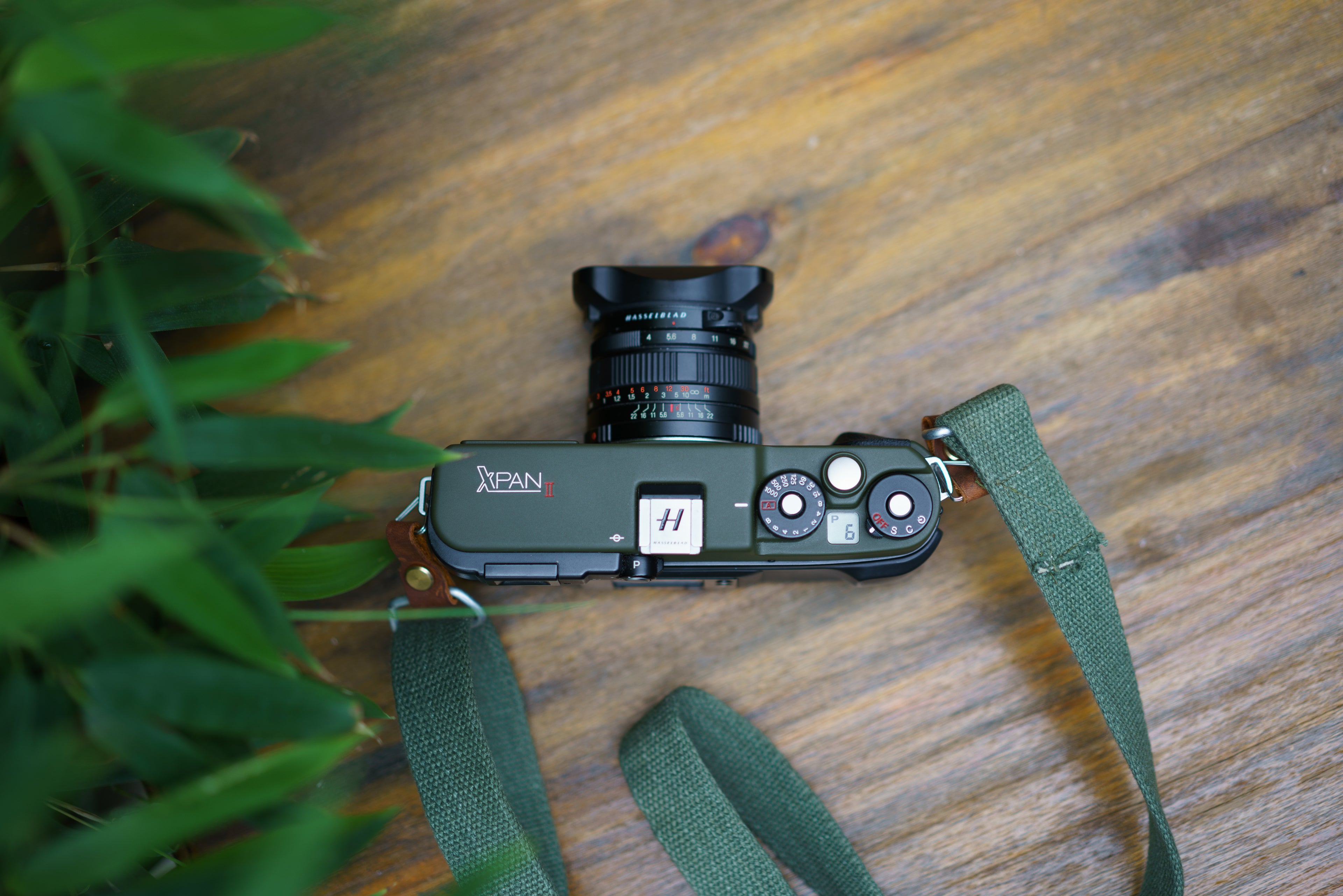 Xpan Safari Repaint