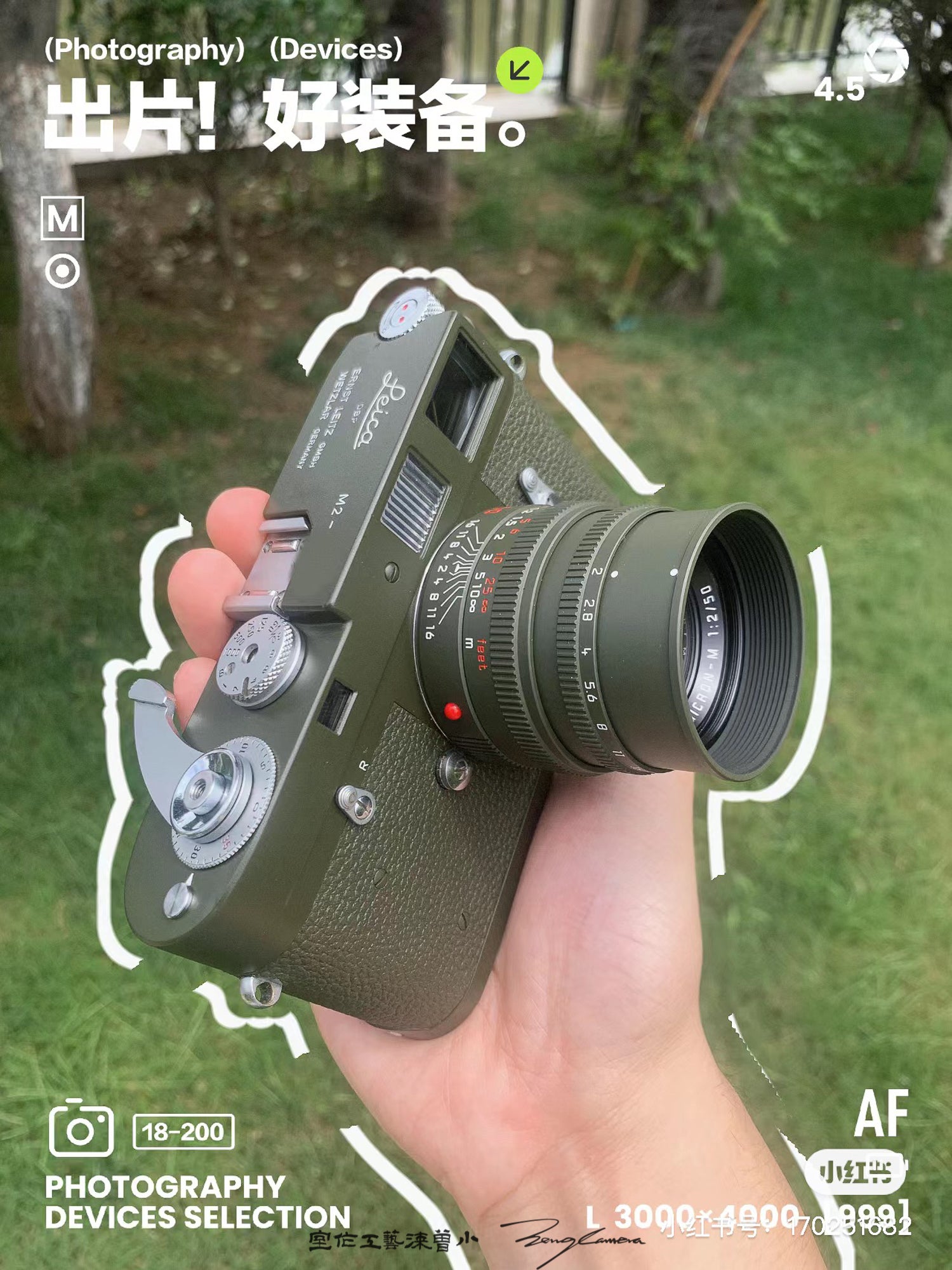 M2 Safari Repaint
