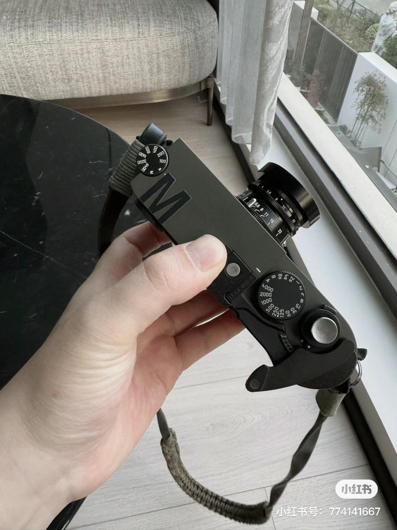 M10-P Reporter Repaint