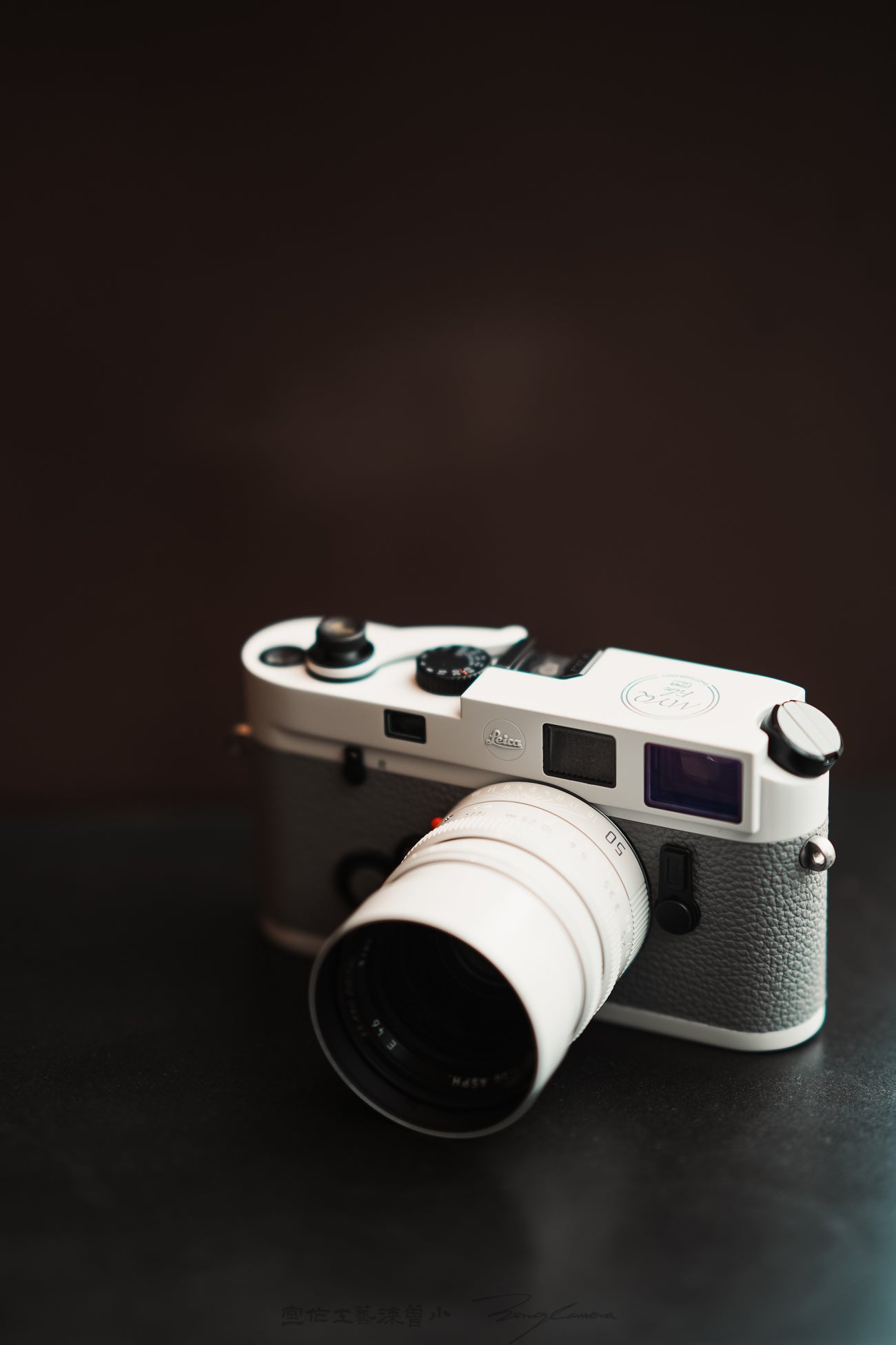 M6 TTL / 50mm F1.4 Lens Ghost Repaint