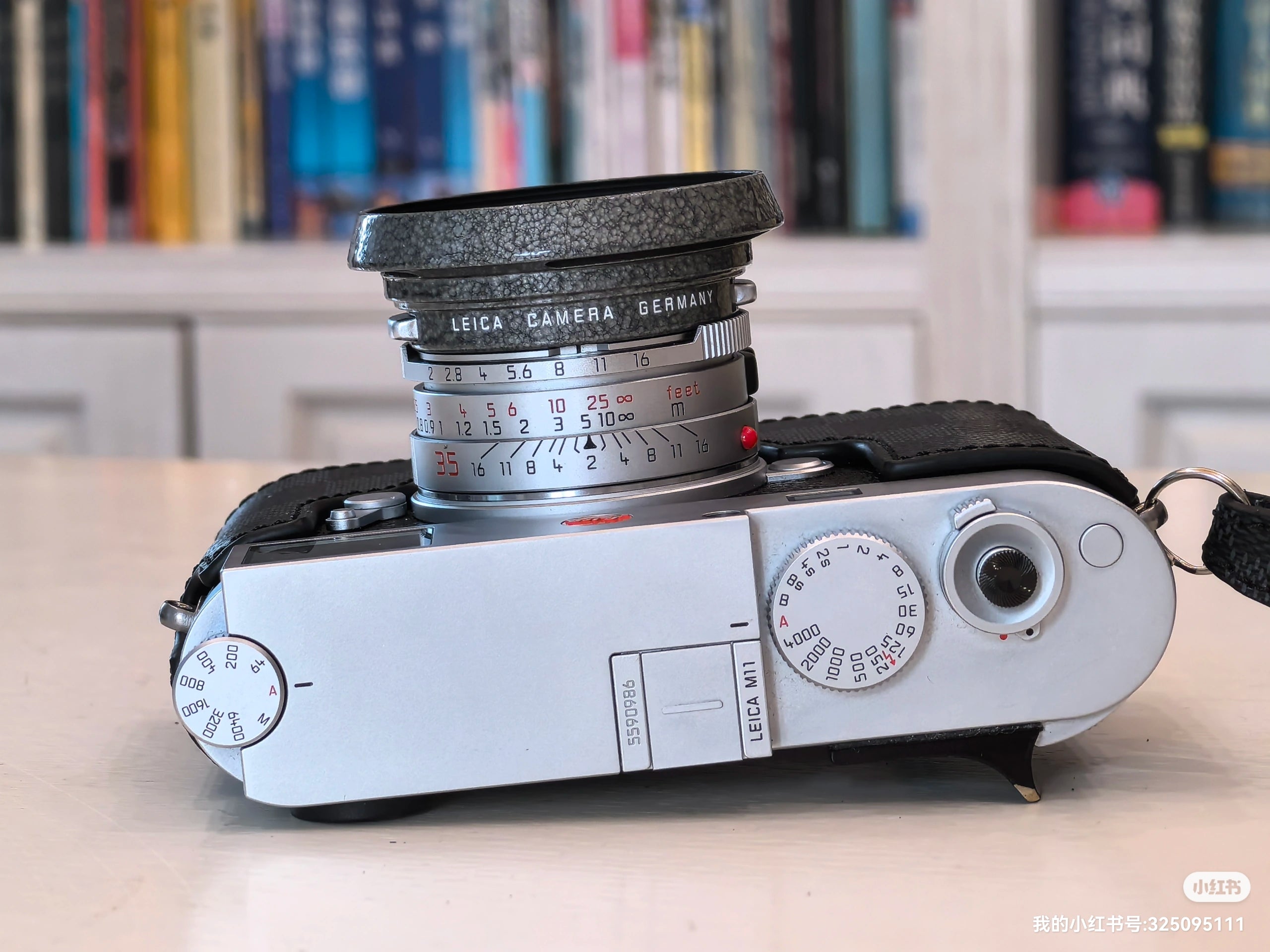 Hammer Tone Repaint