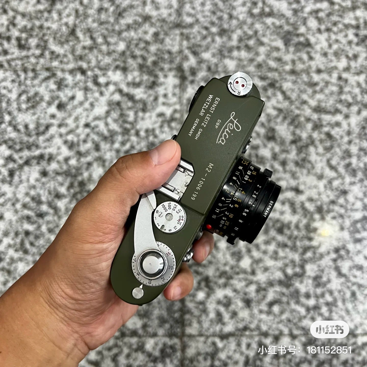 Safari Repaint