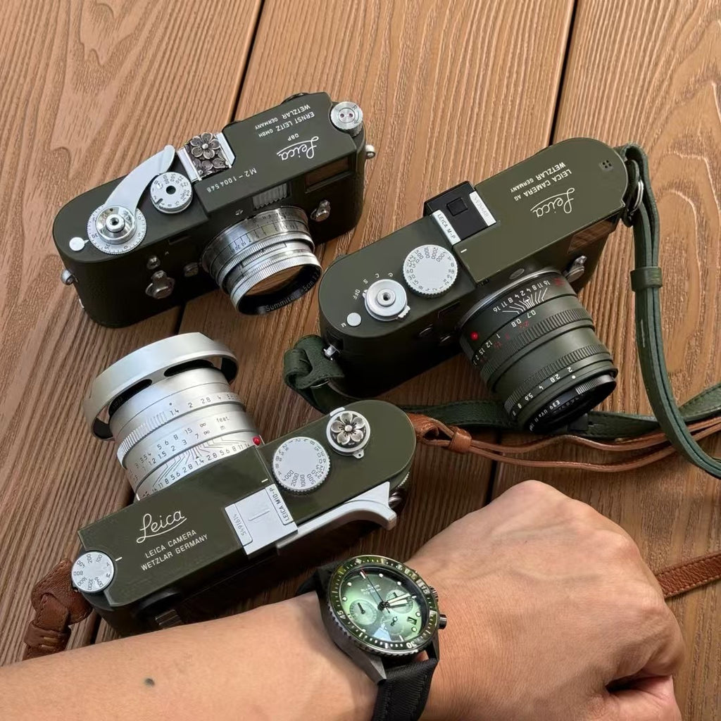M2 Safari Repaint