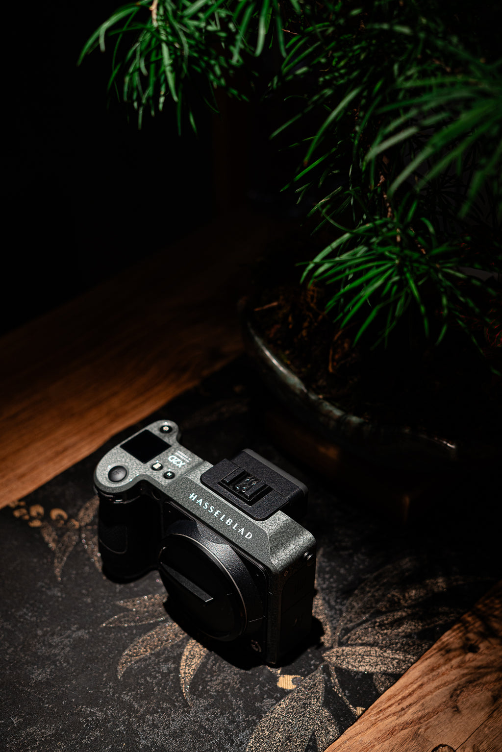 X2D Hammer Tone Repaint
