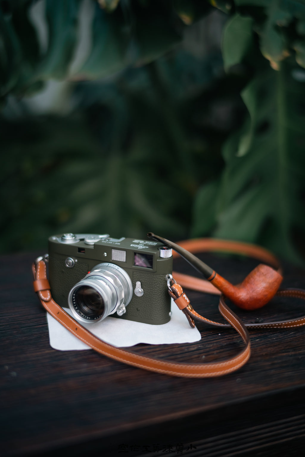 M2 Safari Repaint